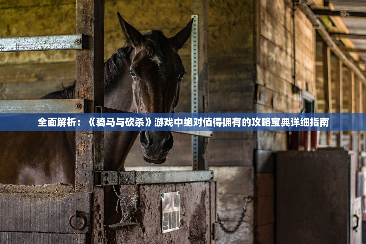 全面解析：《骑马与砍杀》游戏中绝对值得拥有的攻略宝典详细指南